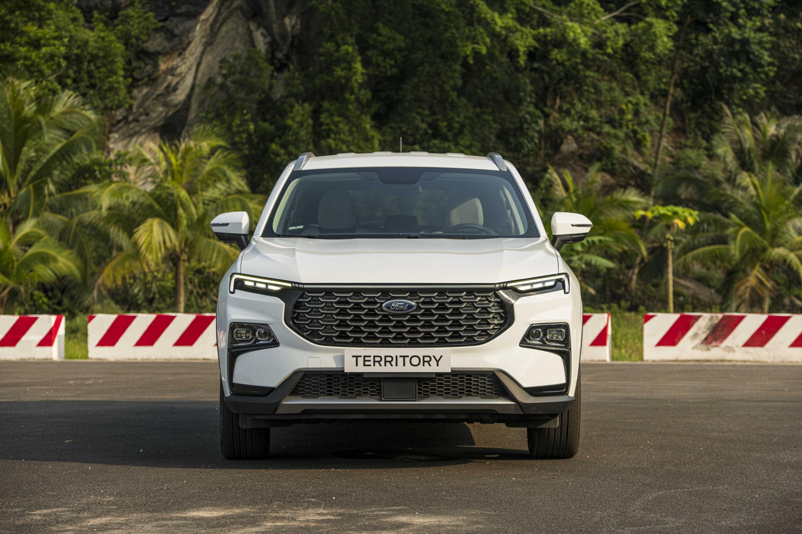 ford territory trend